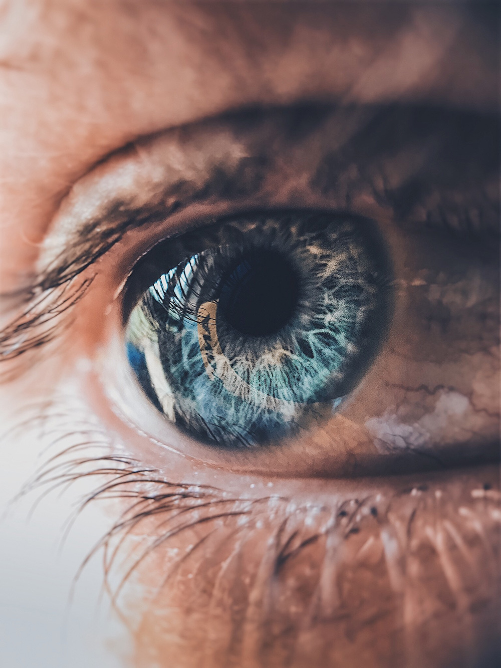eye-tracking